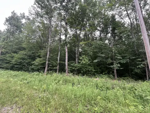 Wooded Residential Building Lot