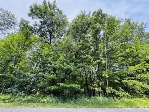 Vacant Residential Land Lot