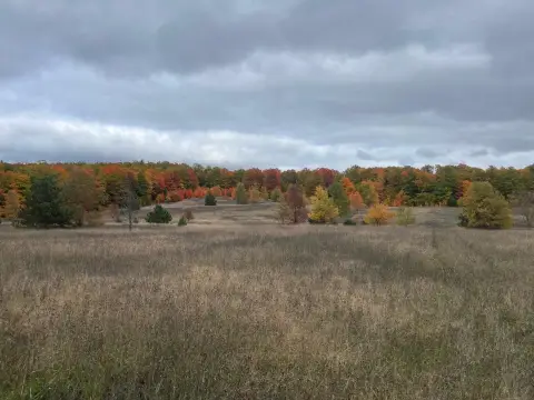Recreation Land with Creek and Pond
