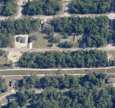 CITRUS SPRINGS Wooded Lot