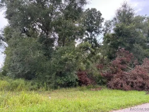 Citrus Springs Vacant Corner Lot