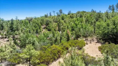Forested Homesite Near Prescott Forest