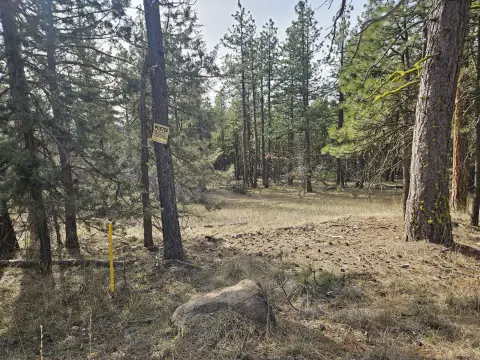 Land Near Bonanza, Oregon