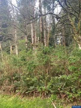 Lincoln City Lot For Sale