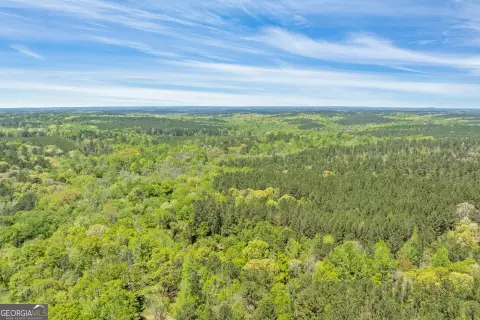 Recreational Hunting Land with Creek