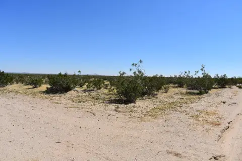 Residential Lot in Mojave, CA