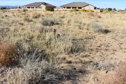 California City Quarter-Acre Lot