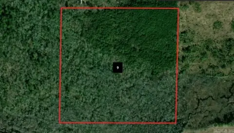 40-Acre Timberland Parcel