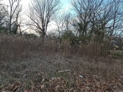 Residential Lot in Pine Bluff