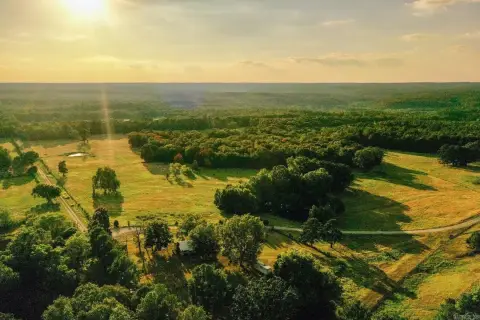 Pasture and Timber Farm