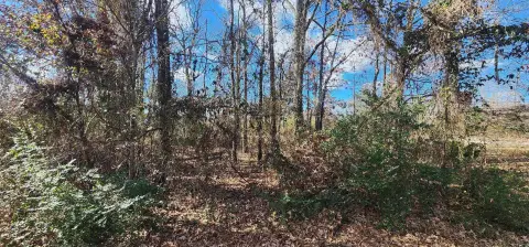 Residential Lot in Cabot, AR