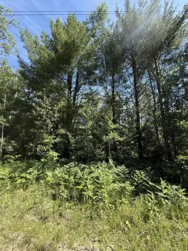 Adjoining Residential Land Parcels