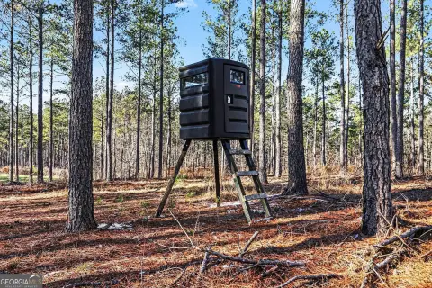Prime Hunting Land Near Athens
