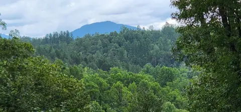 Mill Spring Residential Lot