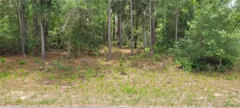 Wooded Lot in Citrus Springs