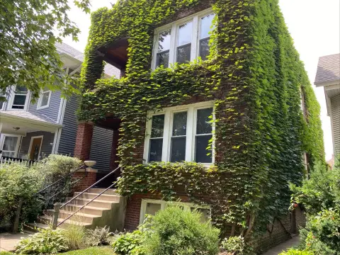 Albany Park Two-Unit Building