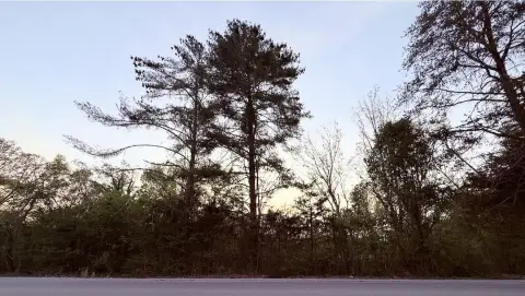 Residential Lot in Ooltewah, TN