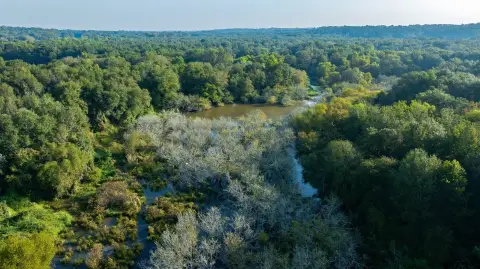 Fenced Hunting Land