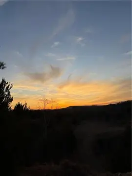 Morrilton Land with Development Potential