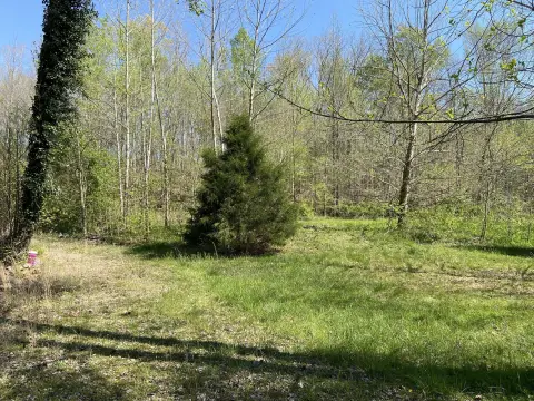Unrestricted Land Near Dayton Mountain