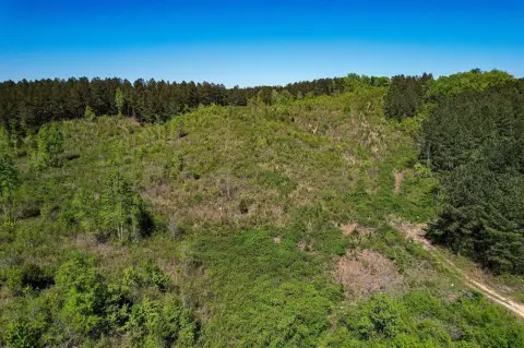 88.6 Acres of Rural Land