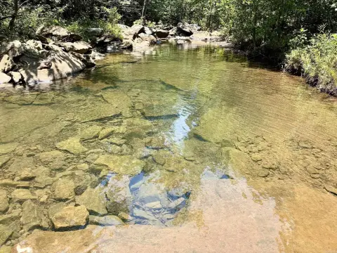 Hunting Land with Year-Round Creek