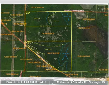 Recreational Hunting Land Parcel