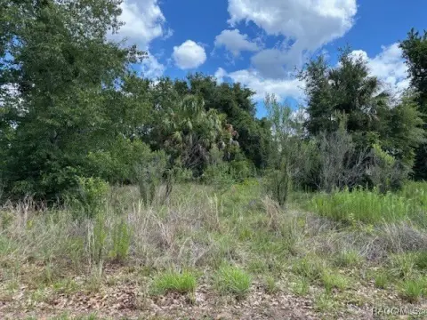 Cleared Lot in Hernando