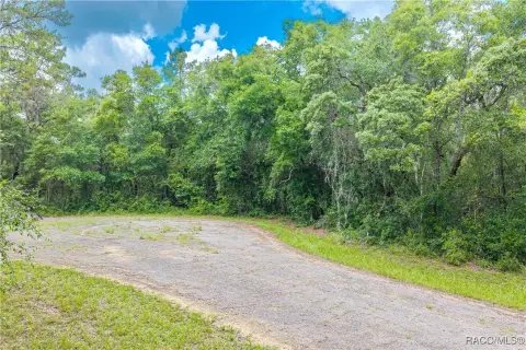 Flat Residential Lot in Cul-de-Sac