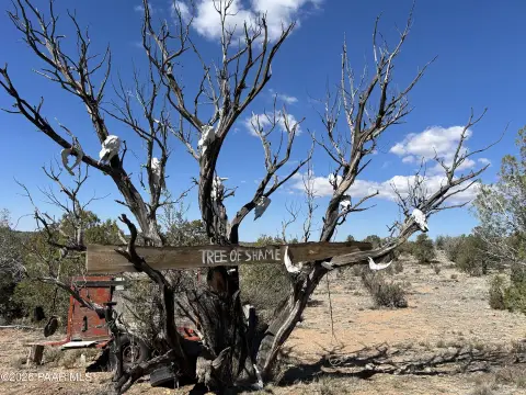 Seligman, AZ Vacant Land