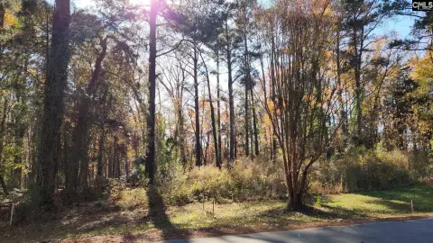 Wooded Lot Near Lake Murray