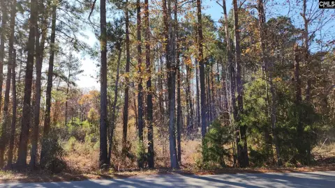 Wooded Lot Near Lake Murray