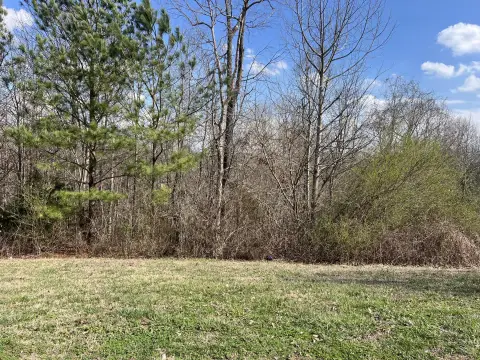Residential Lot in Graystone Subdivision