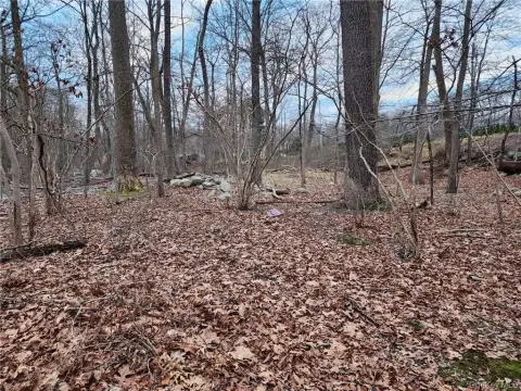 Vacant Land in Spring Valley