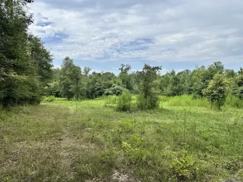 Hunting Land with Food Plots