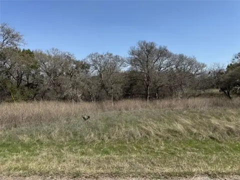Cleared Land Near Lake Whitney