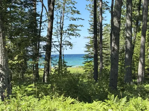 Recreation Hunting Land Parcel