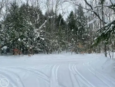 Wooded Hunting Land Parcel