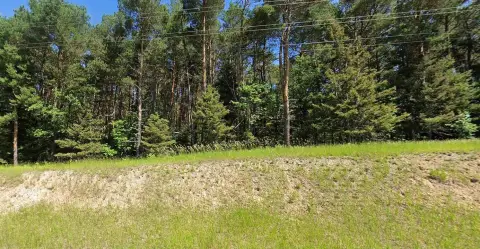 Wooded Hunting Land with Food Plots