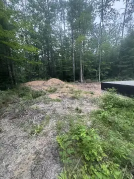 Wooded Residential Building Lot