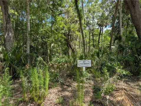 Withlacoochee River Waterfront Land