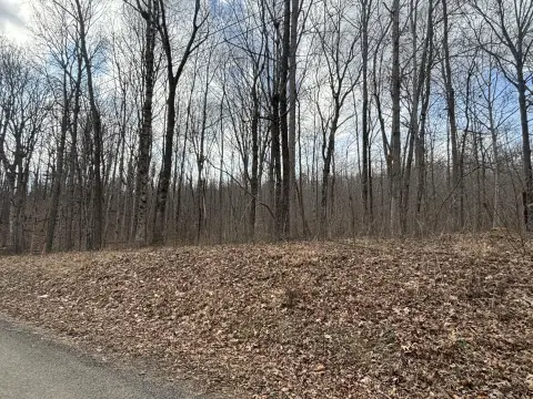 Dunlap, TN Wooded Lot