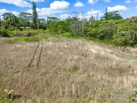 Land in Leilani Estates