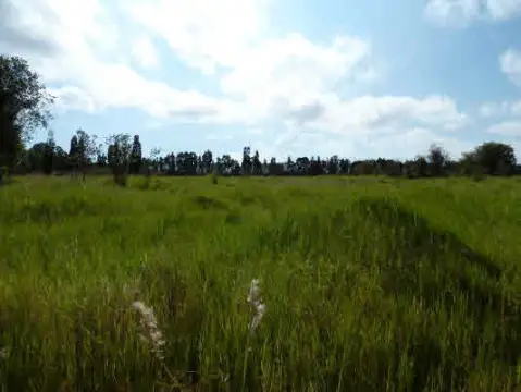 99.18 Acres Pasture Land