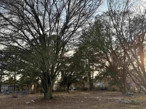 Large Lot in Woodwinds Community