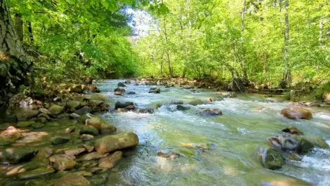 Creekside Recreation Land
