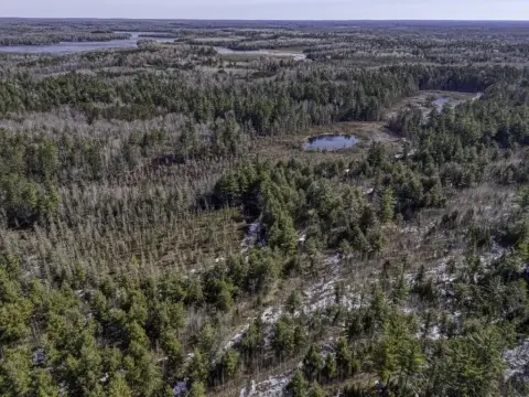 Acreage Land in Presque Isle