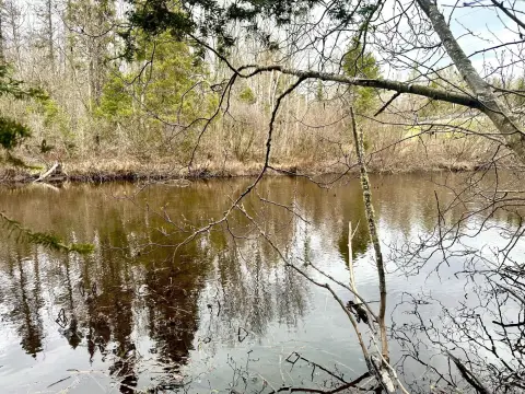 Phelps, WI Waterfront Land