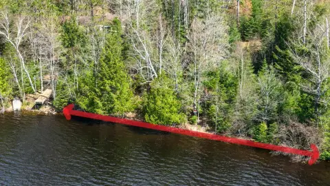 North Turtle Lake Wooded Lot