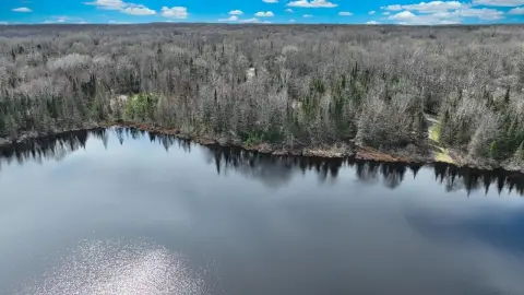 Wooded Waterfront Land Parcel